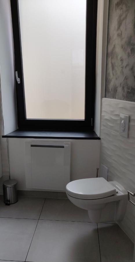 Le Purple, Appartement De Standing En Hypercentre Sarreguemines Esterno foto