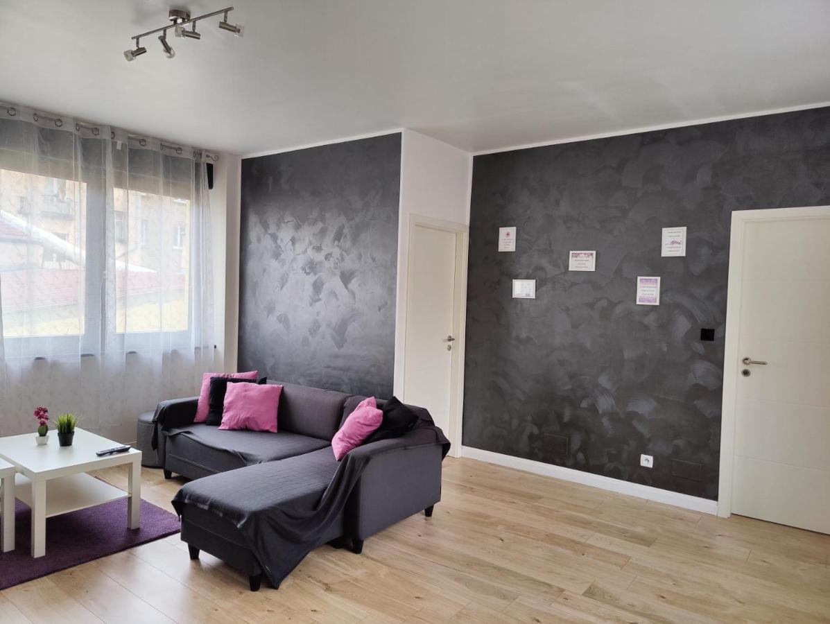Le Purple, Appartement De Standing En Hypercentre Sarreguemines Esterno foto