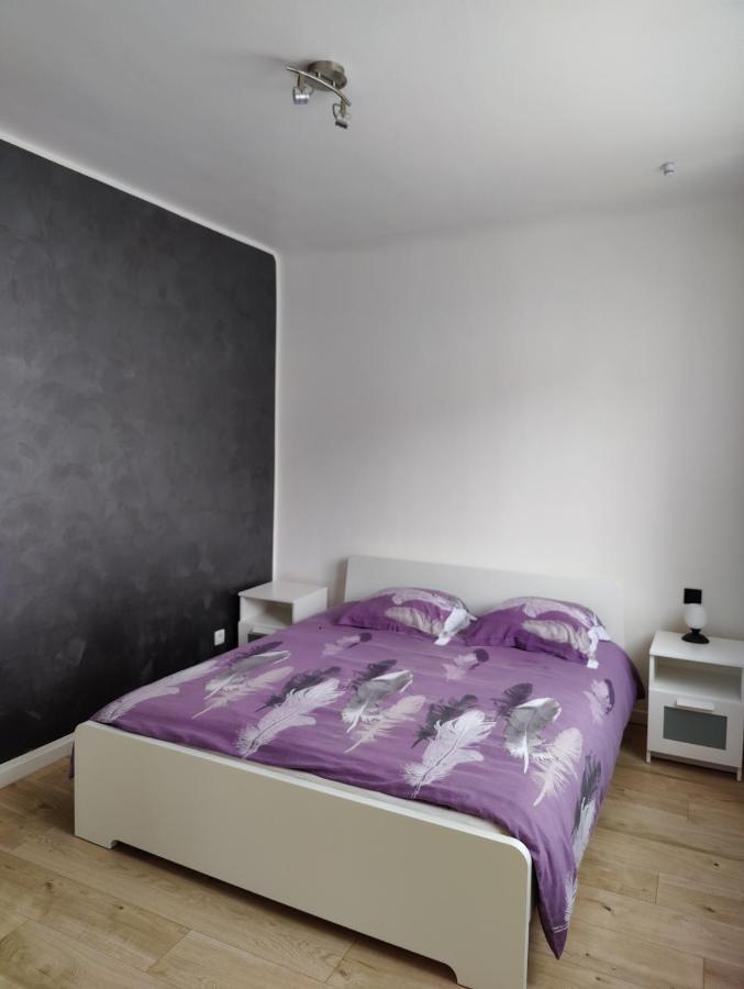 Le Purple, Appartement De Standing En Hypercentre Sarreguemines Esterno foto